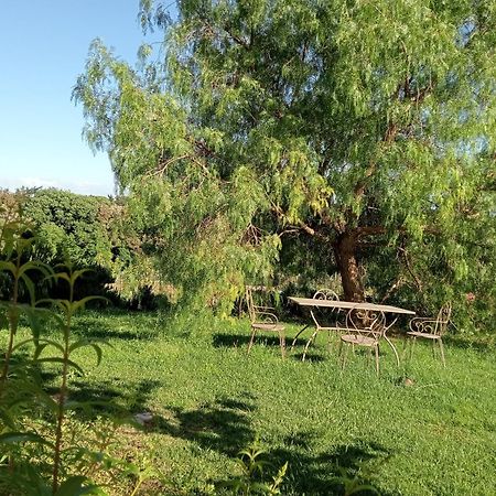 Agriturismo Podere Gianmaria Castiglioncello Eksteriør billede
