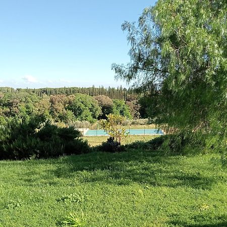 Agriturismo Podere Gianmaria Castiglioncello Eksteriør billede