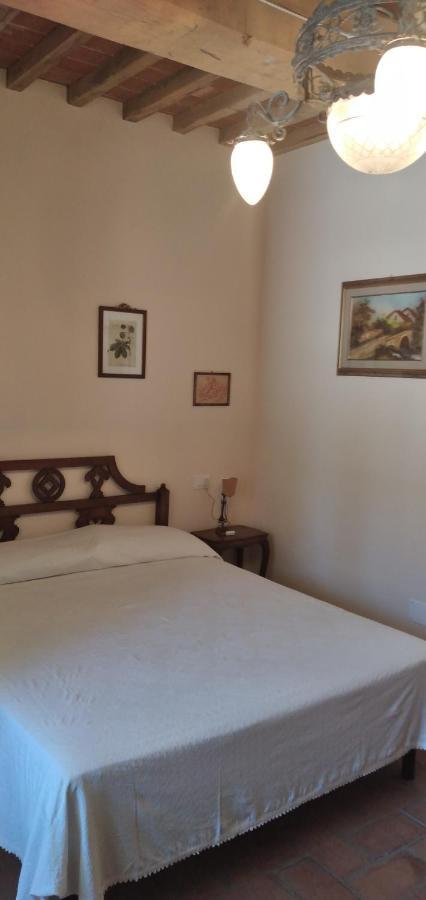 Agriturismo Podere Gianmaria Castiglioncello Eksteriør billede