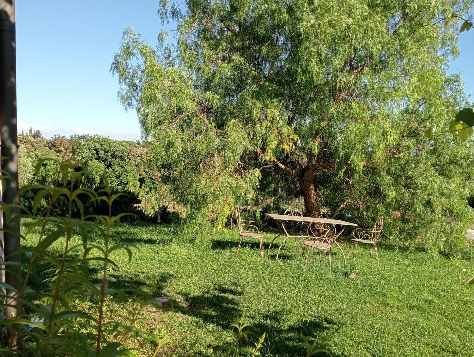 Agriturismo Podere Gianmaria Castiglioncello Eksteriør billede