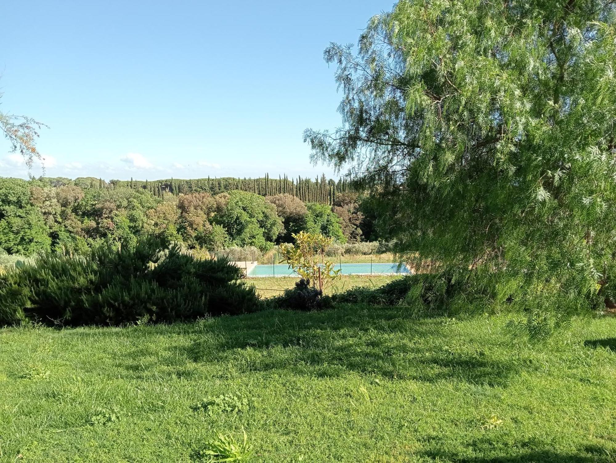 Agriturismo Podere Gianmaria Castiglioncello Eksteriør billede