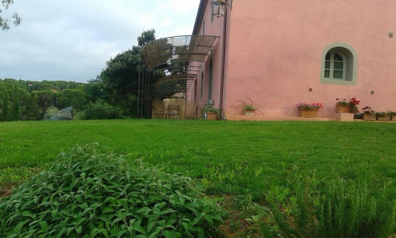 Agriturismo Podere Gianmaria Castiglioncello Eksteriør billede
