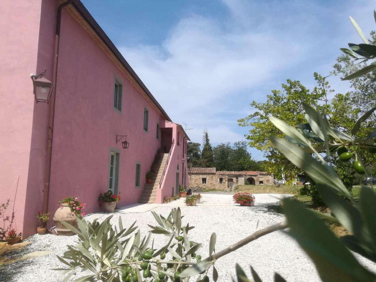 Agriturismo Podere Gianmaria Castiglioncello Eksteriør billede